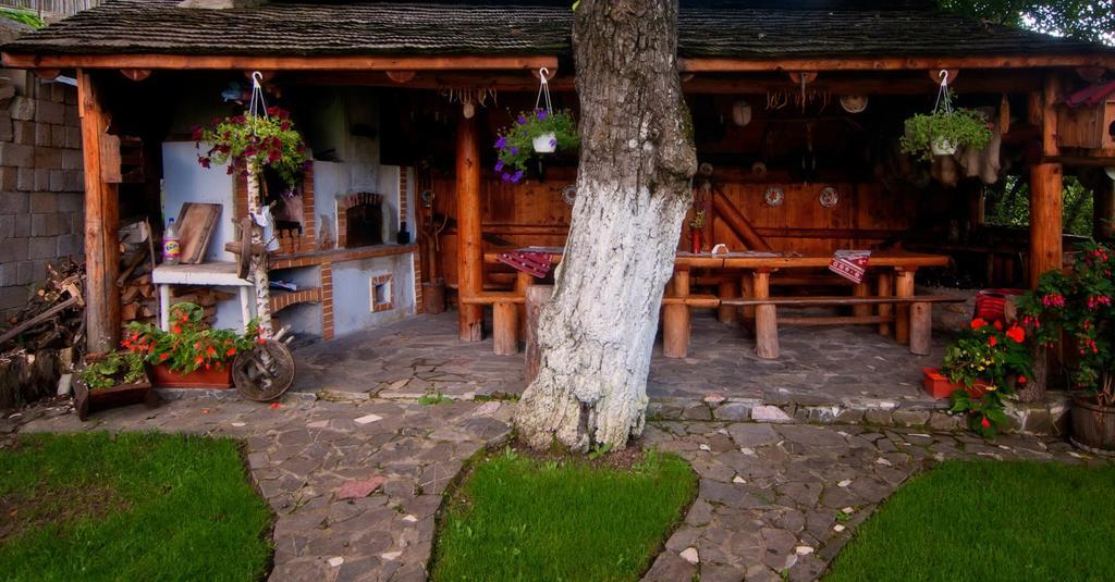 Pension Casa Contelui Rîşnov Exterior foto